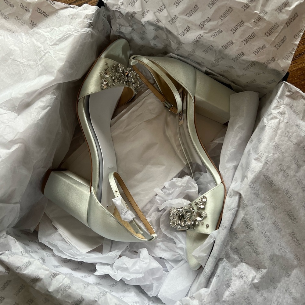 NEW Badgley Mischka Aqua Block Heels Size 8.5 - Picture 2 of 9